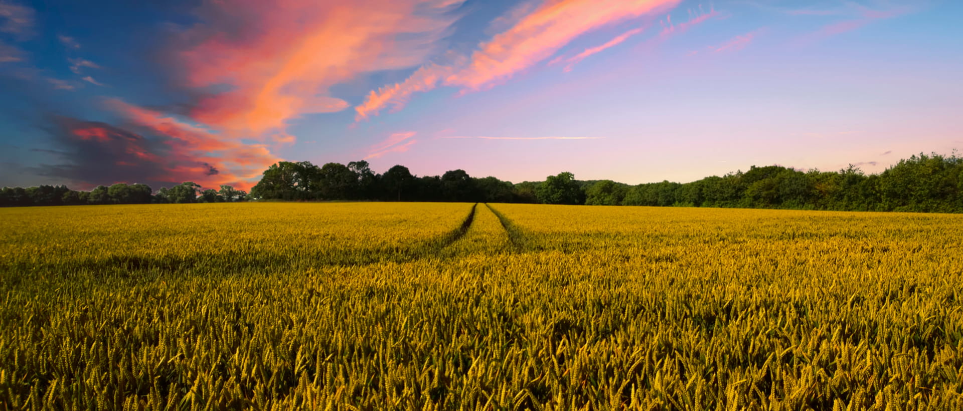 EM-SYNERGY-banner_main_01